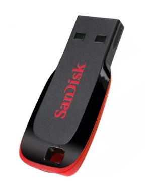 SanDisk Cruzer Blade 128GB Memory Card
